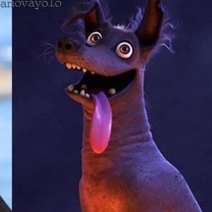 Meet your Posher, Karla